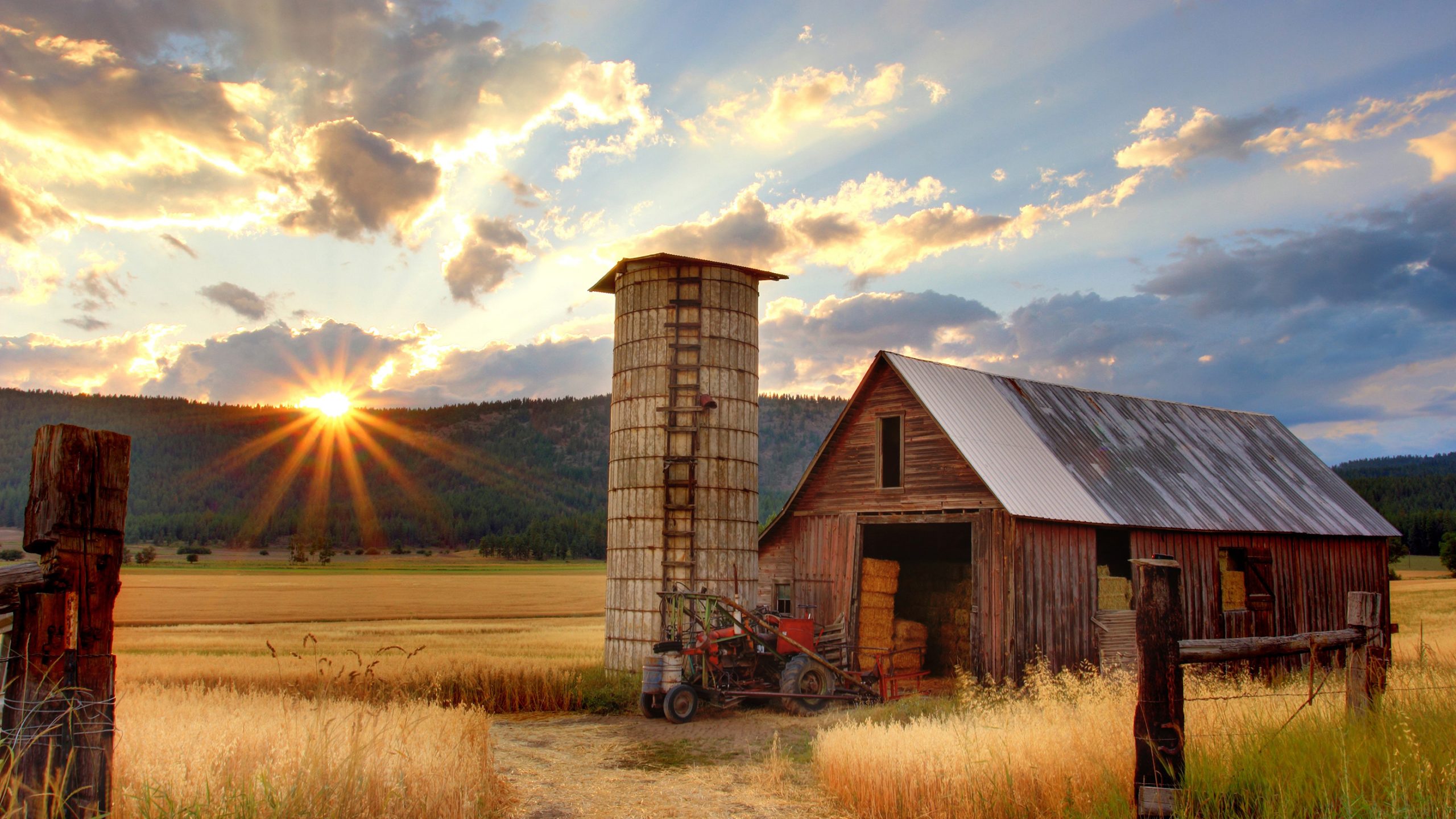 Image of a barn in a field of wheat with a silo. The sun is in the background rising over a tree line.